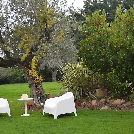 Bed & Breakfast Zagara Luxury Pescara