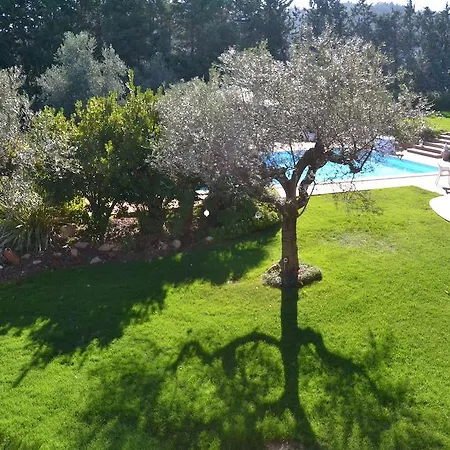 Zagara Luxury